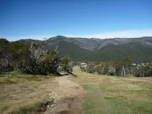 Looking down the playground