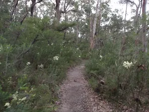 Track down to the Causeway