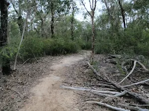 Pisgah Rock Track