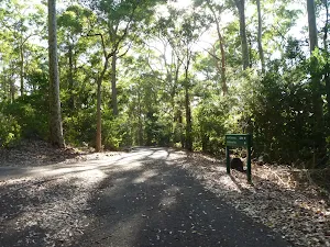 Intersection and sign in the Blackbutt Reserve