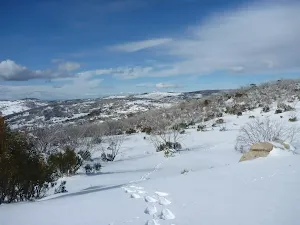 Looking across the side of Mt Piper