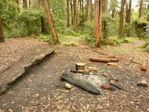 Fireplace at the Turpentine campsite in the Watagans