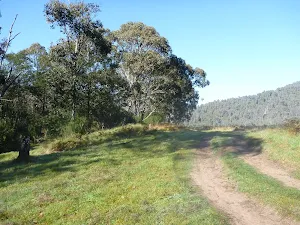 Walking along trail beside Swampy Plains Creek