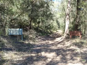 Near the start of the Shepherds Gully trail
