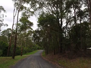 Taylors Rd (north)