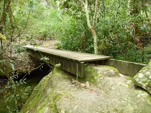 Crossing a small creek