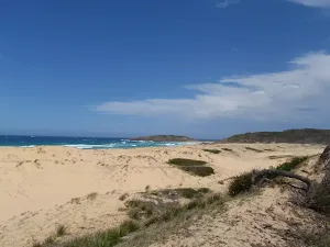 Bournda Beach