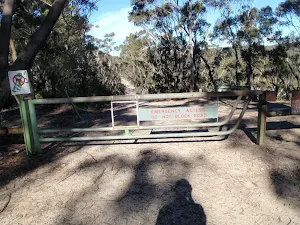 Emergency access gate