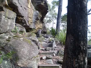The rough bushtrack down from the end of the servicetrail
