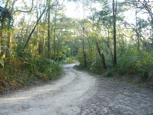 Perimeter Trail near Terrey Hills