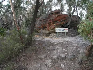 Bushtrack after cul-de-sac