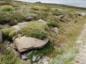 Rocky grounds