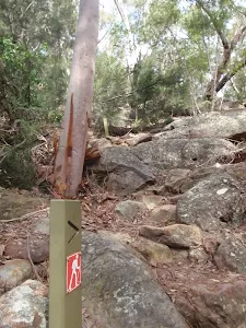 Climbing up the rocky track