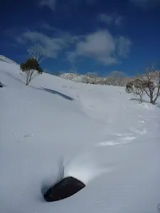 Walking along the side of the hill