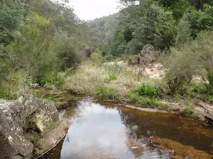 Glenbrook Creek