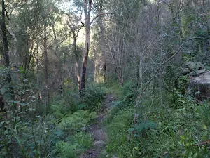 Track above the Grose River
