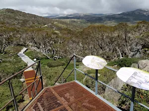 Looking along the board walk from near Main Range Lookout