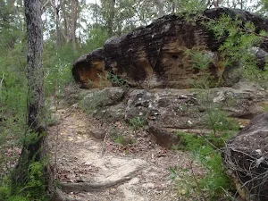 Rock beside track to Lawsons Lookout