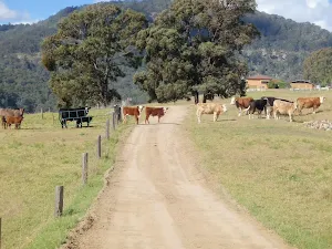 Watch out for the locals