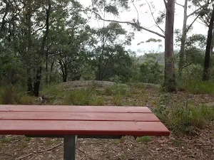 130 Picnic table