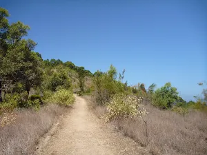 track up to the Lower Sea Eagle Lookout