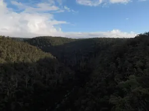 View from Erskine Lookout