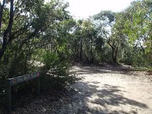 Following the Bluff Track