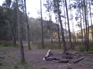 Calna Creek Campsite (north)