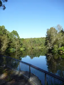 Lane Cove Weir to Boat Shed