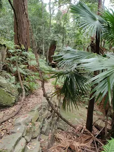 Strickland State Forest