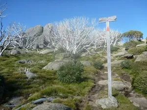 Walking up to Porcupine Rocks