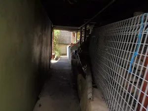 Passing under a house at Little Wobby
