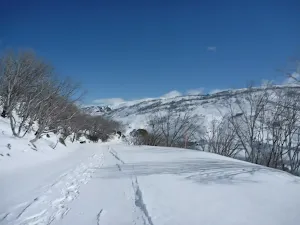 Trail looking towards the dam