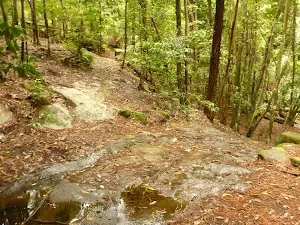 Shallow creek ford in the Watagans
