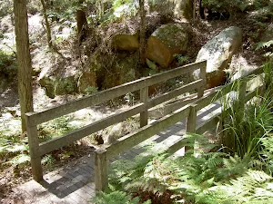 Bridge across Maitland Bay Track
