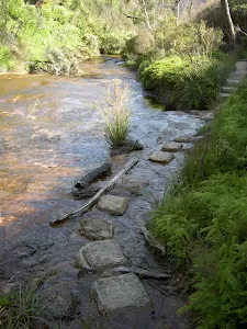 Stepping stones one Braeside Track