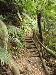 following the Guringai Walk