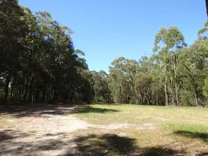 Tower Clearing