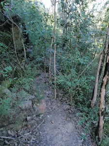 Track near Erskine Creek