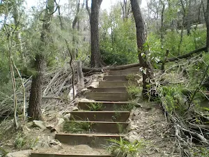 Occasional Steps