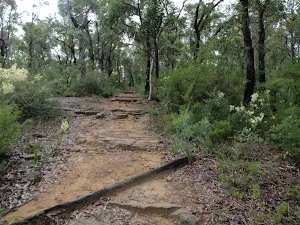 Jack Evans track