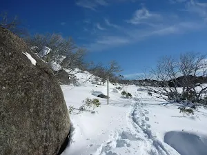Boulder beside Rock Creek Snowshoe trail