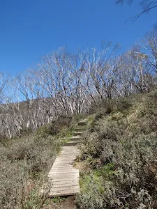 Walking up along the DHG track