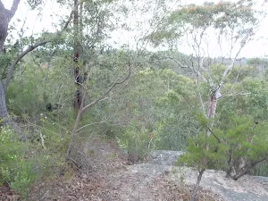 Track near Lawsons Lookout
