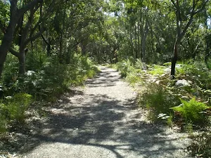 Yena Track