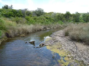 Pinney's creek in the Wallarah Pennisula