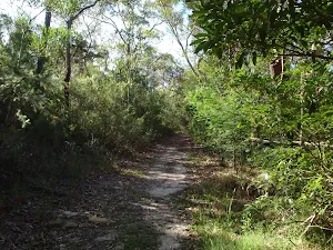 Magazine Track