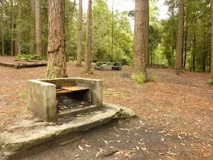 Fireplace in the pines camping ground in the Watagans
