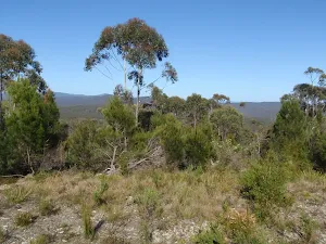 View from Bournda Trig