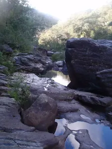 Track through Glenbrook Gorge